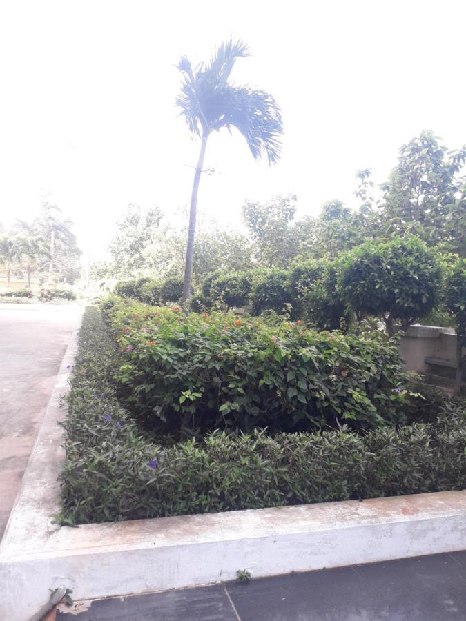 Mary'S Homestay Apartment 头顿 外观 照片